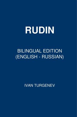 Cover of the book Rudin by Gerlóczy Márton