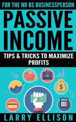 Cover of the book Passive Income by Patrick Steptoe