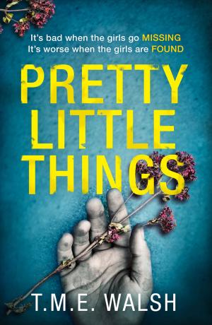 Cover of the book Pretty Little Things by Sir John Betjeman, Richard Surman