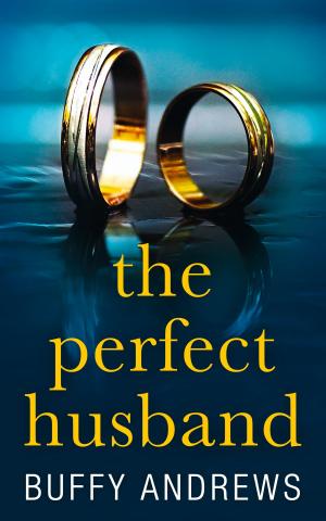 Cover of the book The Perfect Husband by Shaun Clarke