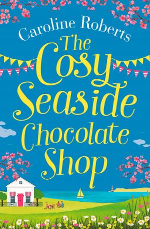 Cover of the book The Cosy Seaside Chocolate Shop by Bruce Hale