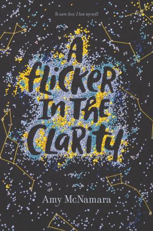 Cover of the book A Flicker in the Clarity by Natalie C. Parker