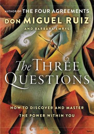 Book cover of The Three Questions
