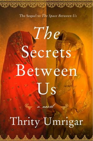 Cover of the book The Secrets Between Us by Jimmy Connors
