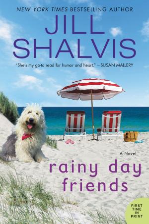 Cover of the book Rainy Day Friends by Patricia Bond