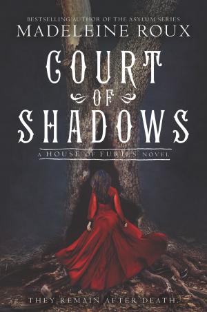Cover of the book Court of Shadows by Jillian Cantor