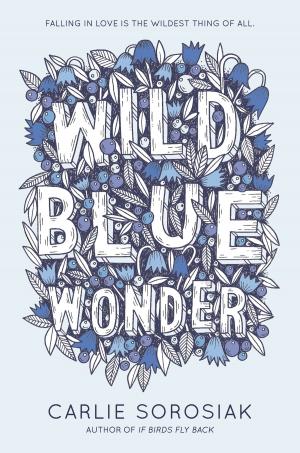 Cover of the book Wild Blue Wonder by Alex Flinn