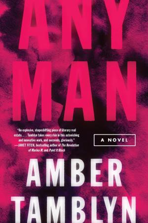Cover of the book Any Man by Sue Miller