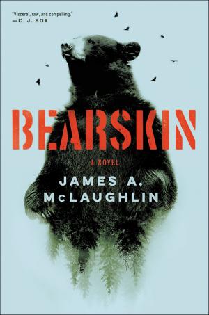 Cover of the book Bearskin by April Bloomfield, JJ Goode EdD.