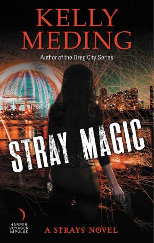 Cover of the book Stray Magic by Jack Dann, Dr. Nick Gevers
