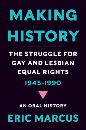 Cover of the book Making History by Liza Bennett
