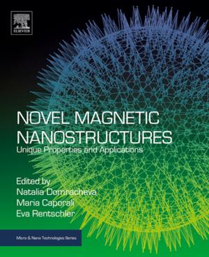 Cover of the book Novel Magnetic Nanostructures by Jayanta Bhattacharya, Subhabrata Dev, Bidus Das