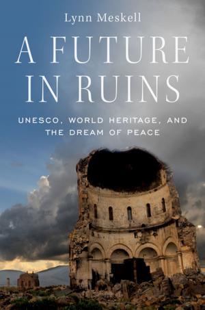 Cover of the book A Future in Ruins by John Spitzer, Neal Zaslaw