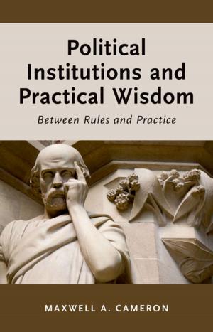 Cover of the book Political Institutions and Practical Wisdom by Jane E. Mangan