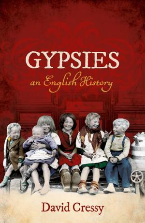 Book cover of Gypsies