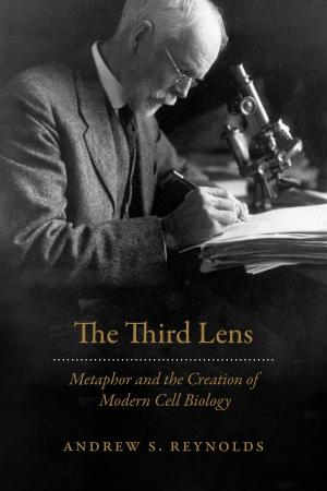 Cover of the book The Third Lens by Jurgen Brauer, Hubert van Tuyll