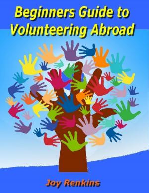 Book cover of Beginners Guide to Volunteering Abroad