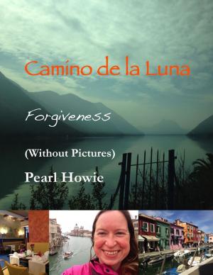 Book cover of Camino De La Luna – Forgiveness (Without Pictures)