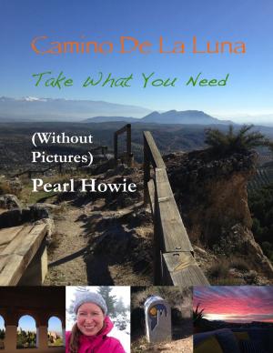Cover of the book Camino De La Luna - Take What You Need (Without Pictures) by Lakita T. Sharpe