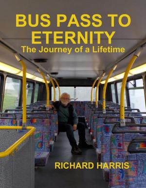 Book cover of Bus Pass to Eternity - The Journey of a Lifetime