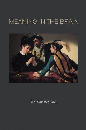 Cover of the book Meaning in the Brain by Colin McGinn