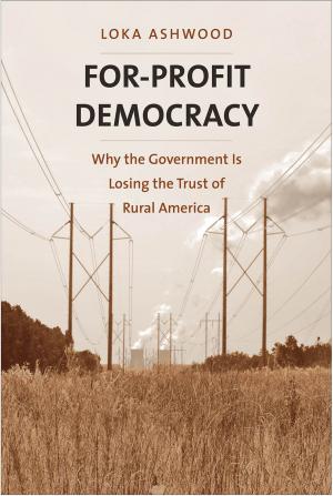 Cover of the book For-Profit Democracy by Paul Anthony Rahe