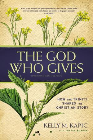 Cover of the book The God Who Gives by Douglas S. Huffman, Eric L. Johnson, Zondervan