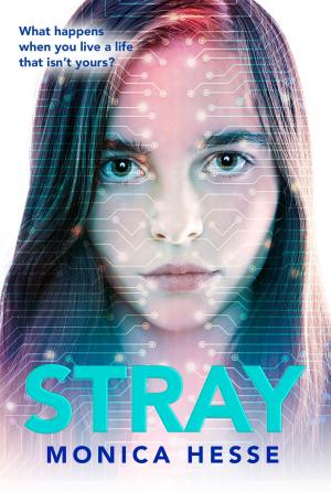 Cover of the book Stray by Darren Shan