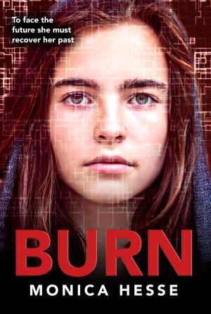 Cover of the book Burn by Vashti Harrison