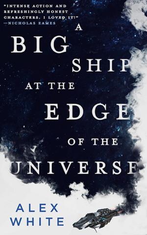 Cover of the book A Big Ship at the Edge of the Universe by Michael Wigington