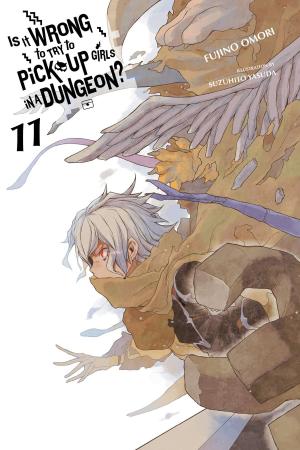 Cover of the book Is It Wrong to Try to Pick Up Girls in a Dungeon?, Vol. 11 (light novel) by Fujino Omori, Takashi Yagi, Kiyotaka Haimura, Suzuhito Yasuda