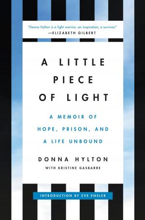 Cover of the book A Little Piece of Light by Regina Leeds