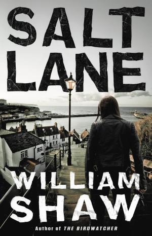 Cover of the book Salt Lane by Daniel Woodrell