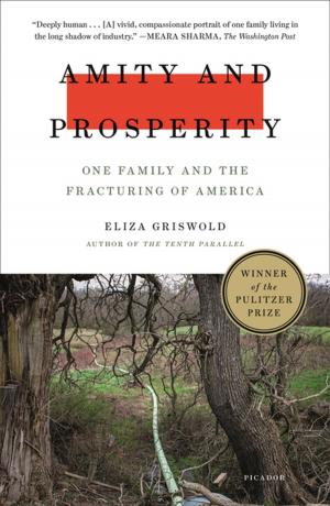 bigCover of the book Amity and Prosperity by 
