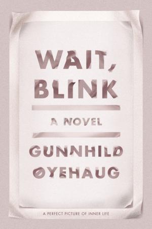 Cover of the book Wait, Blink by Wallis Wilde-Menozzi