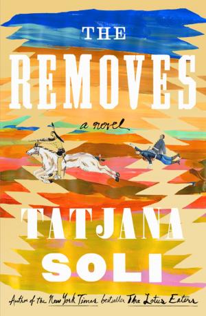 bigCover of the book The Removes by 