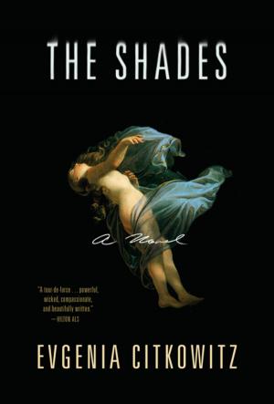 Cover of the book The Shades: A Novel by Loren Fishman, MD, Carol Ardman