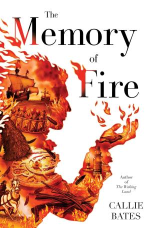 Book cover of The Memory of Fire