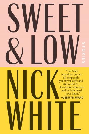 Cover of the book Sweet and Low by DT Sanders