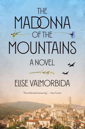 Cover of the book The Madonna of the Mountains by Cecy Robson