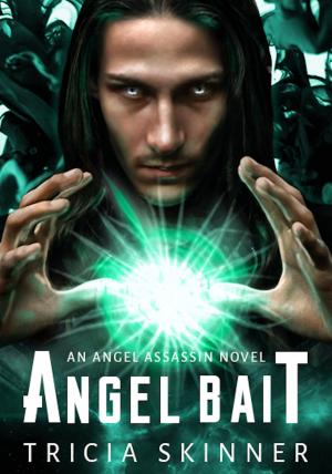 Cover of the book Angel Bait by Lucy May
