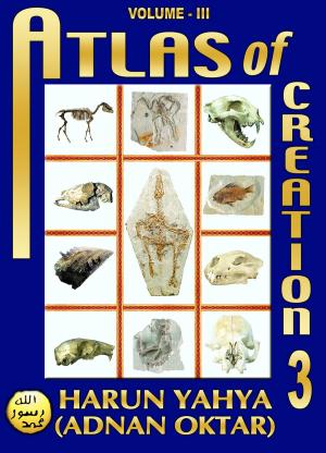 Book cover of Atlas of Creation: Volume 3