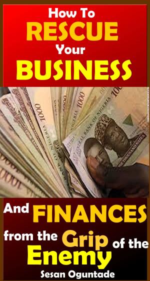 Cover of the book How to Rescue Your Business and Finances From The Grip Of The Enemy by Sesan Oguntade
