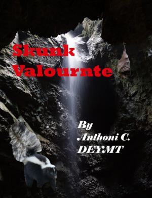 Cover of the book Skunk Valournte by Cyryn Fyrcyd