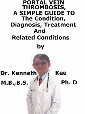bigCover of the book Portal Vein Thrombosis, A Simple Guide To The Condition, Diagnosis, Treatment And Related Conditions by 