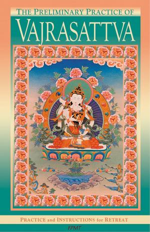 bigCover of the book The Preliminary Practice of Vajrasattva eBook by 