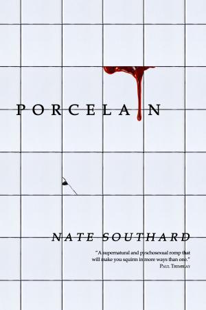 Cover of the book Porcelain by A Rainy Dwyer