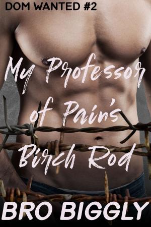 Cover of the book My Professor of Pain's Birch Rod (Dom Wanted #2) by Erin Fraser