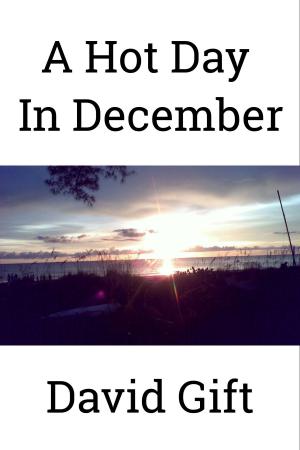 Cover of the book A Hot Day In December by Alastair Reid, Fernando Krahn