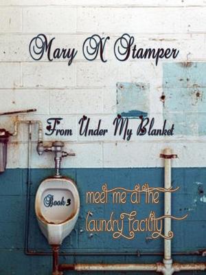 Cover of the book Meet Me at the Laundry Facility Book 3 by Mary N Stamper